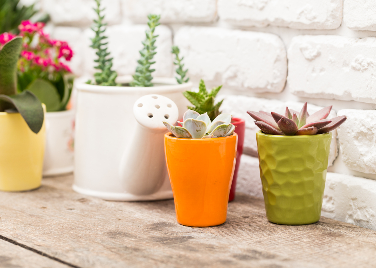 peindre des pots en plastique